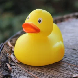 Rubber ducky