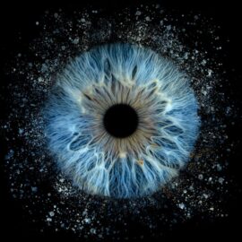 iris art