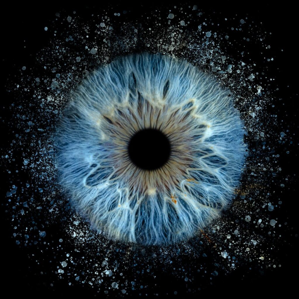 iris art