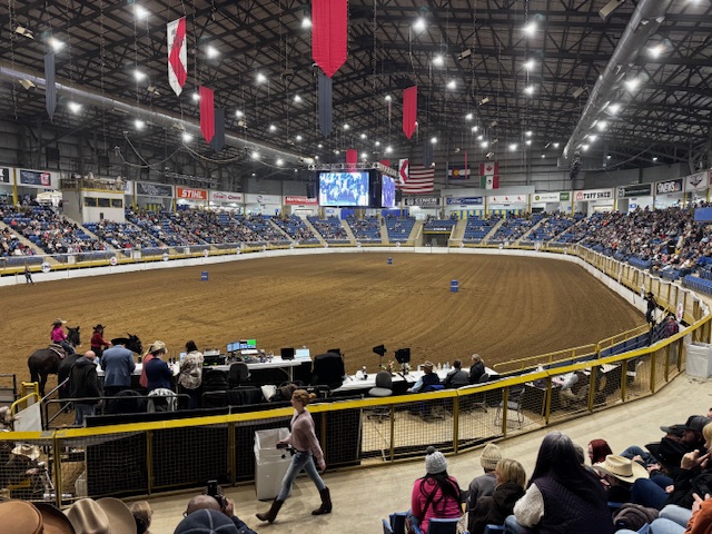 Denver stock show